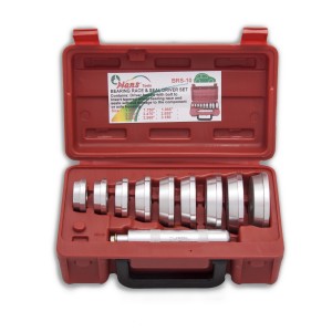 BRS-10