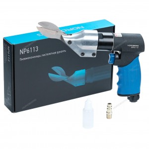 NP6113