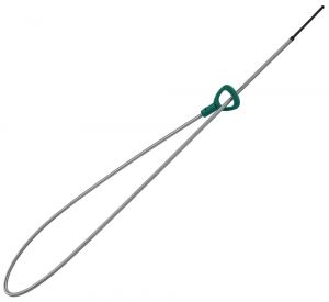 AL010016A