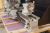 Токарный станок STALEX D300x750 Vario